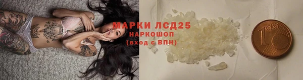 хмурый Алзамай