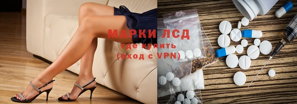 хмурый Алзамай